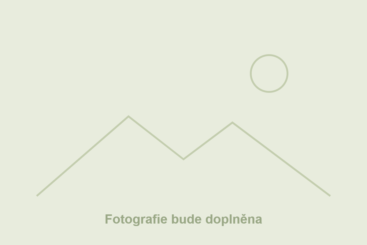 {{ p.name }}